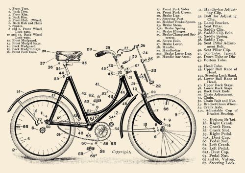 Naming of Cycle Parts