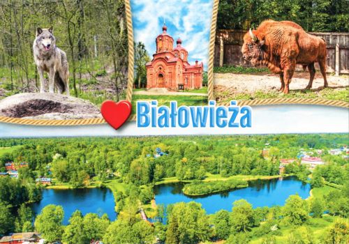 Białowieża