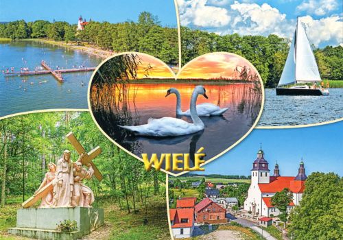 Wiele