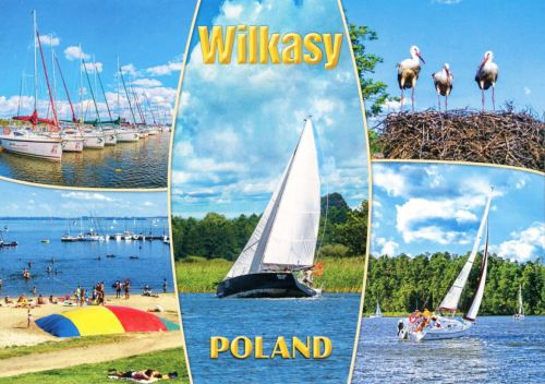 Wilkasy