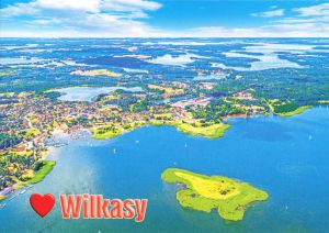 Wilkasy