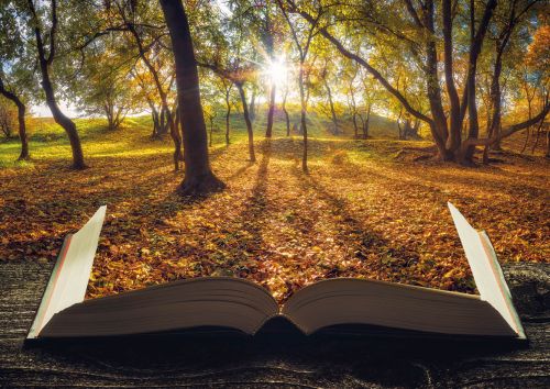 Book of an autumn forest