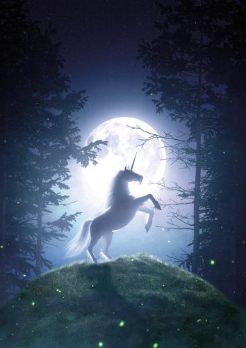 Unicorn