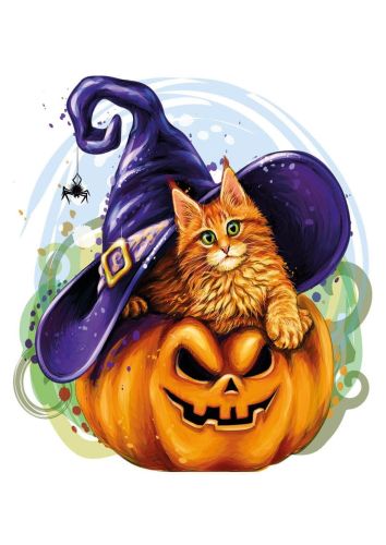 On a pumpkin