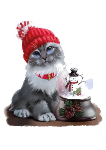 Cat and snow globe