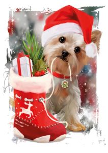 Christmas puppy