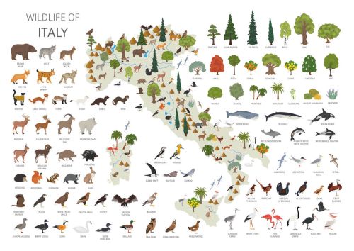 Wildlife of Italy