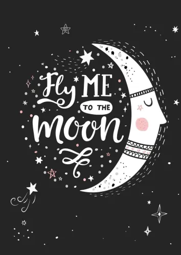 Fly me to the Moon