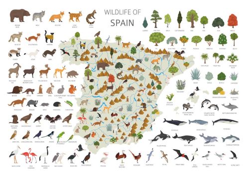 Wildlife of Spain