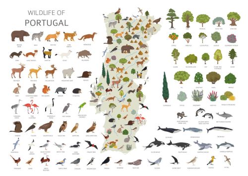 Wildlife of Portugal