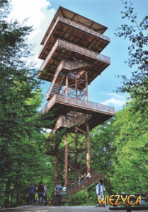 Wieżyca