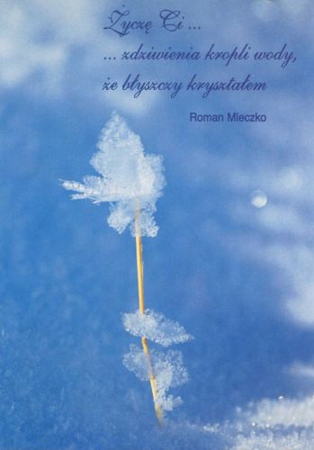 Quotes - Roman Mleczko