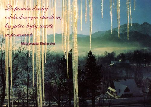 Quotes - Małgorzata Stolarska