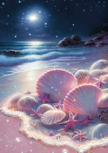 Outlet - Seashells