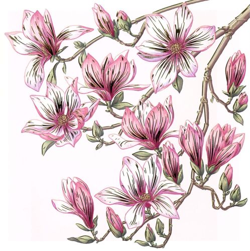 Folded card - Flowers