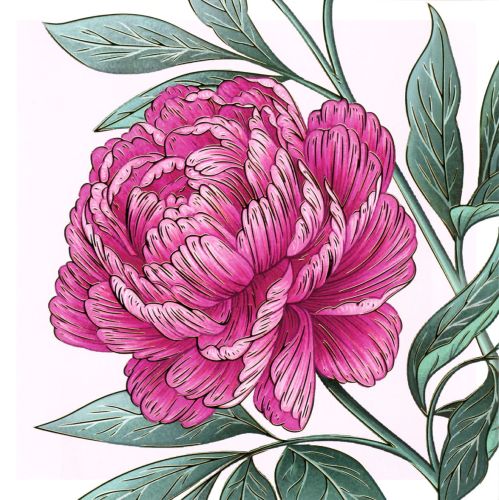 Folded card - Flowers