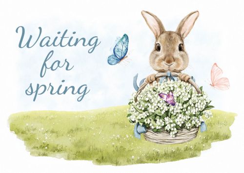 Waiting for Spring