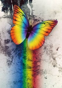 Rainbow Butterfly