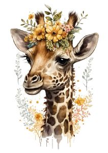 Baby Giraffe