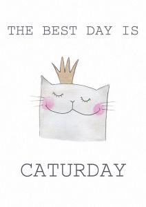 Caturday