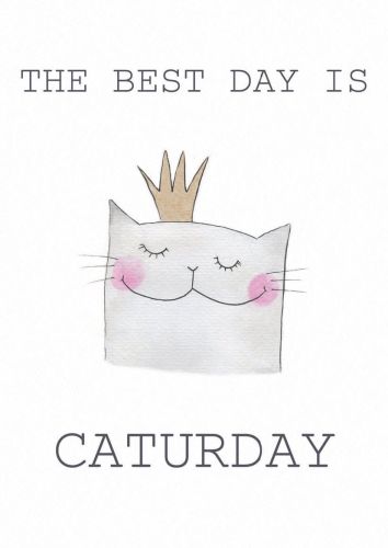 Caturday