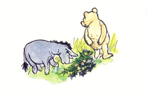 Winnie the Pooh