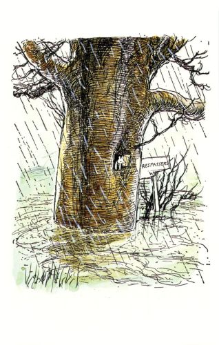 Winnie the Pooh