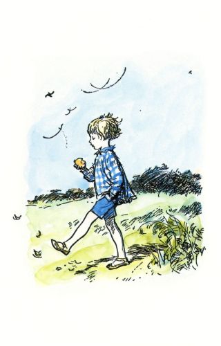 Winnie the Pooh