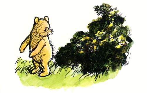 Winnie the Pooh