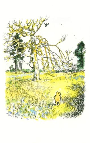 Winnie the Pooh