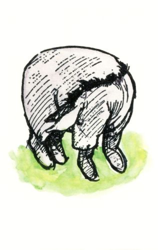 Winnie the Pooh