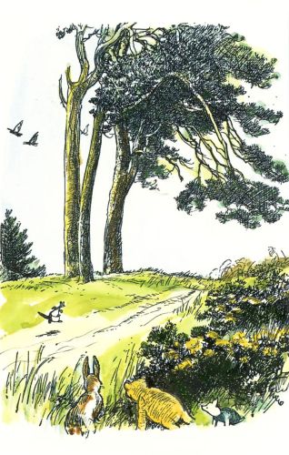 Winnie the Pooh