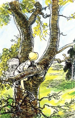 Winnie the Pooh