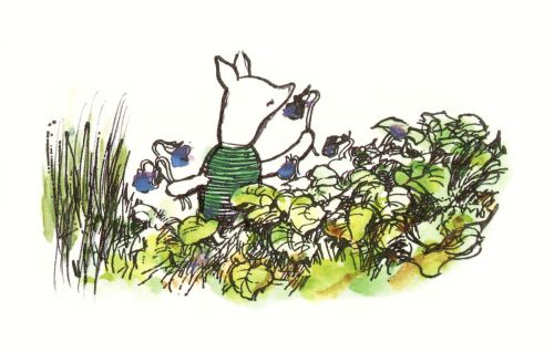 Winnie the Pooh