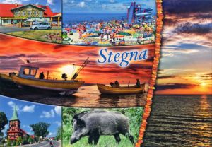 Stegna
