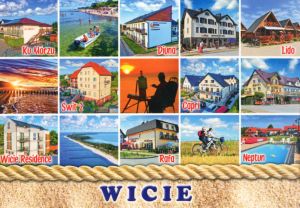 Wicie
