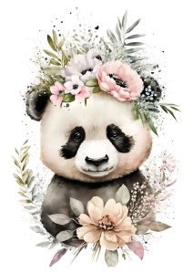 Baby Panda