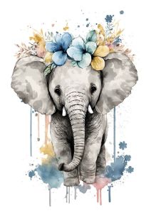 Baby Elephant