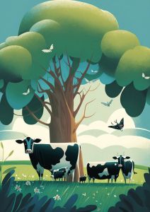 Cows