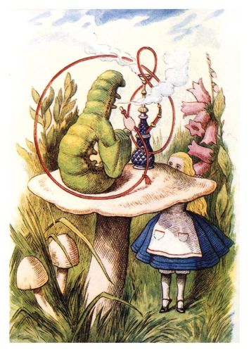 Alice in Wonderland