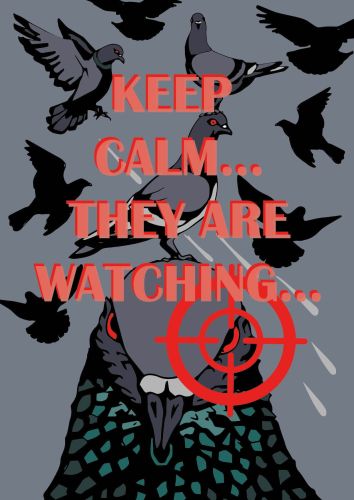 Keep Calm They Are Watching