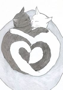 Two Cats