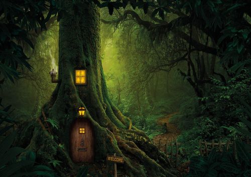 Magical House