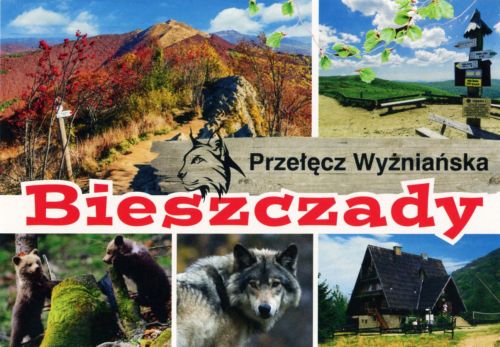Bieszczady - Przełęcz Wyżniańska