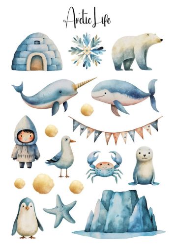 Arctic Life