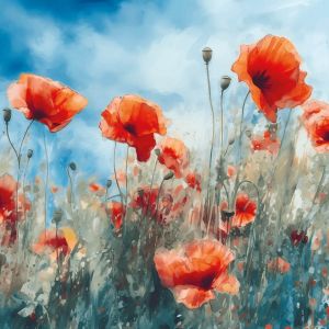 Poppies