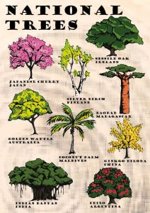National Trees