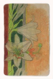 Magnet: Stanisław Wyspiański - Lilies