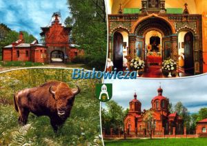 Białowieża
