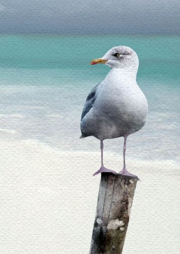 Seaside